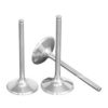 automobile-engine-valves-250x250-1.jpg